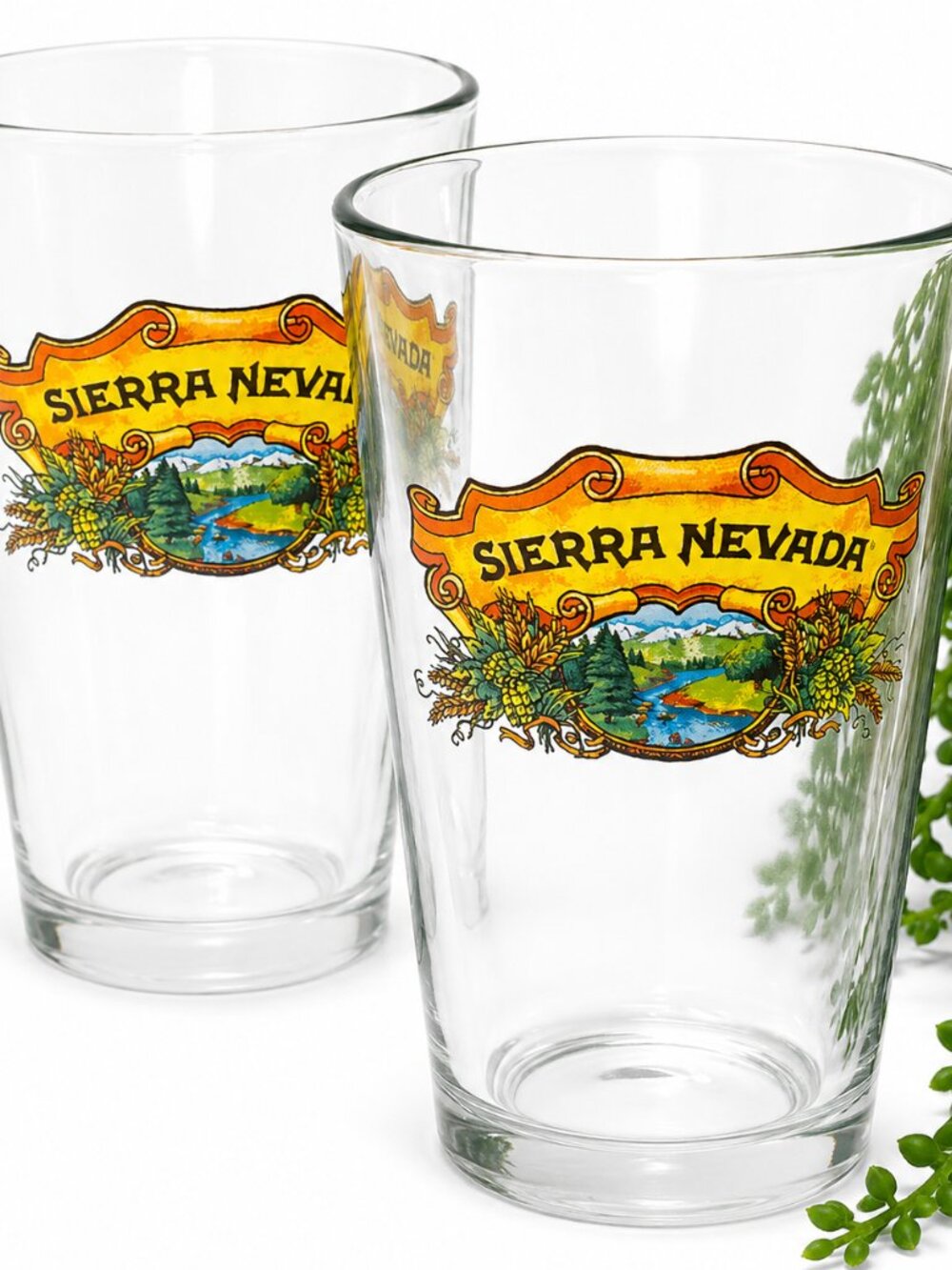 Sierra Nevada Pint Glasses Set of 2 – Clear Craft Beer Drinking Glasses